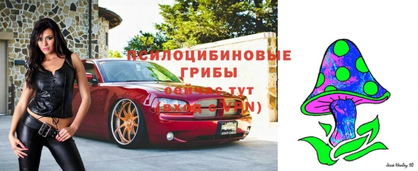 мяу мяу мука Балабаново