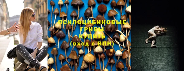 тгк Балахна