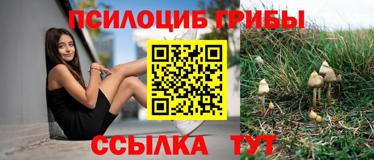 Псилоцибиновые грибы прущие грибы Белово